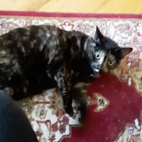 Meet your Posher, Jami - Picture 1 of 1